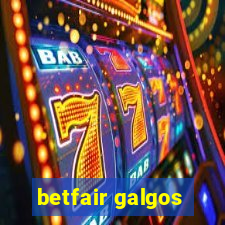 betfair galgos